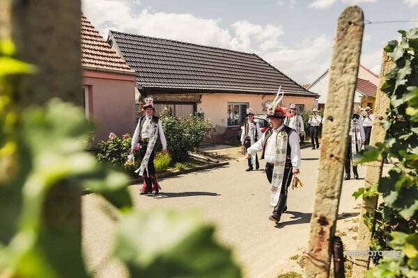 Hody Přítluky 2024 - sobota 10. 8. - Oficiální stránky obce Přítluky a místní část Nové Mlýny