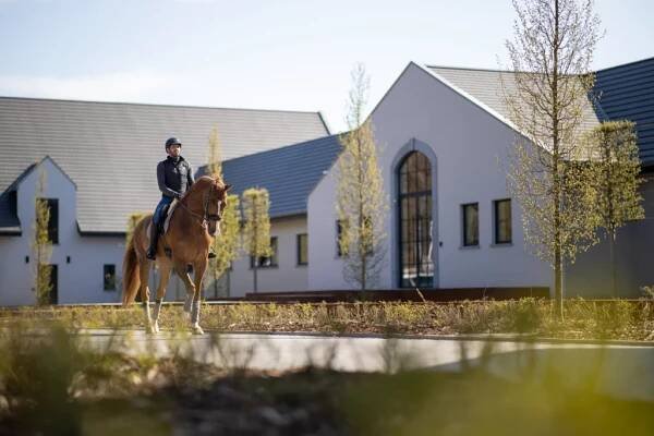 Referenties - Equestrian Projects
