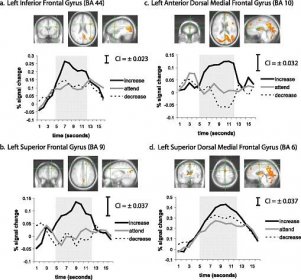 Amygdala and Ventromedial Prefrontal Cortex Are Inversely Coupled during Regulation of Negative Affect and Predict the Diurnal