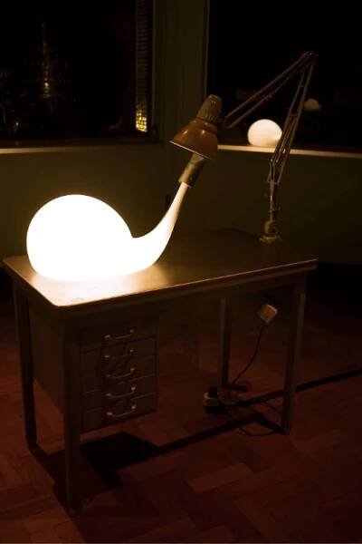 In Praise of Shadows, V&A — Jane Withers Studio