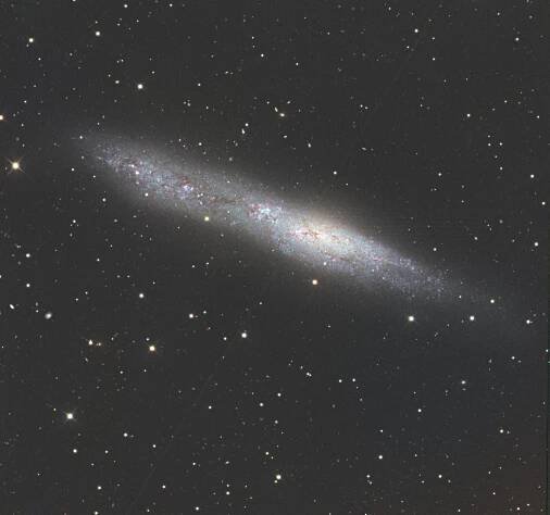 FINAL NGC55 Whale Galaxcy combine-RGB-image-csc-St.jpg