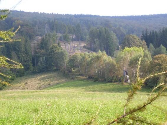 Nýdek