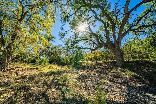Kendall County | Black Creek Ranch | E of Boerne | Texas Ranches For Sale