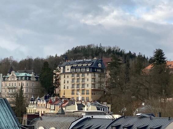 SPA &  Wellness Hotel Čajkovskij Palace foto 5