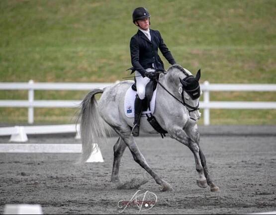 Jack Curtis Dressage