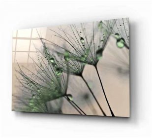 Skleněný obraz Insigne Green Dandelion, 72 x 46 cm | Viame.cz