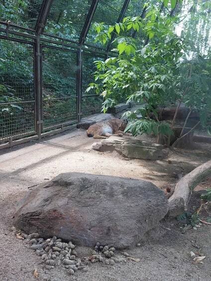 Společný výlet s rodiči do Zooparku Chomutov | Mateřská škola Merklín