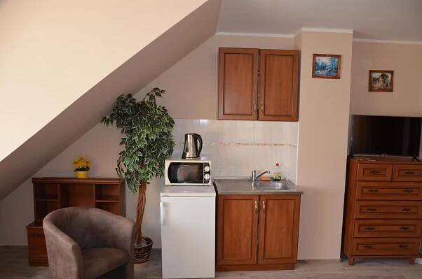 a kitchen with a sink and a counter with a microwave at Penzion Pod Boubínem in Kubova Huť