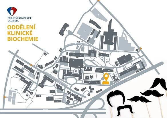 FN Olomouc nabízí v rámci Movemberu bezplatné vyšetření PSA | FNOL