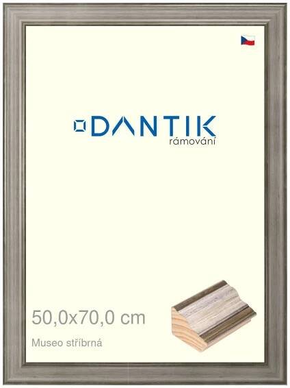 DANTIK rámeček na obraz 50x70