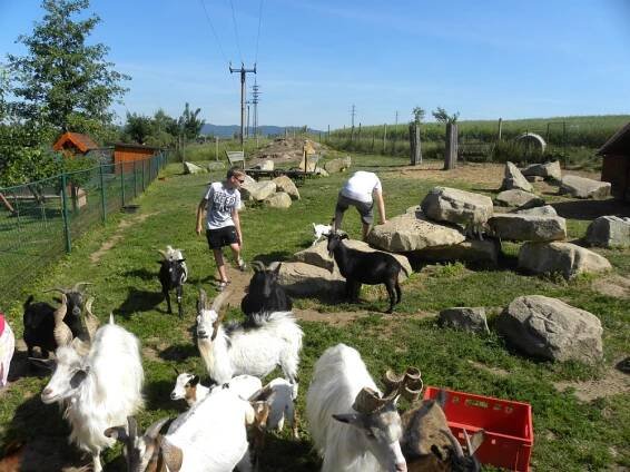 ZŠ Meziměstí 5B 20.6.2017 - Farma Wenet