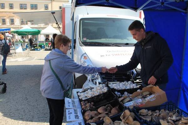 Boleslav opět ožívá jarními trhy