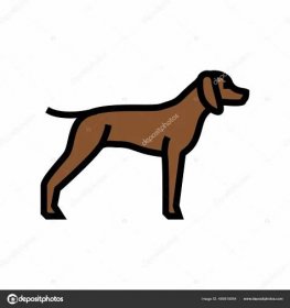 Německý shromaždiště ukazatel pes barva ikona vektor ilustrace Stock Vektor od ©vectorwin 465615954