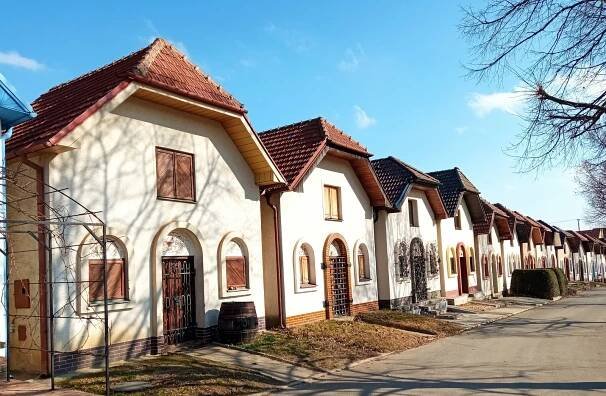 Líbilo se tam templářům i T.G. Masarykovi. Čejkovice vzkvétají jako vinná réva