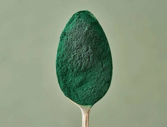 Ask Gerda: What’s the Deal with Spirulina, Chlorella, and Chlorophyll?