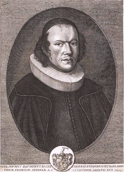 Hieronymus Bauhin