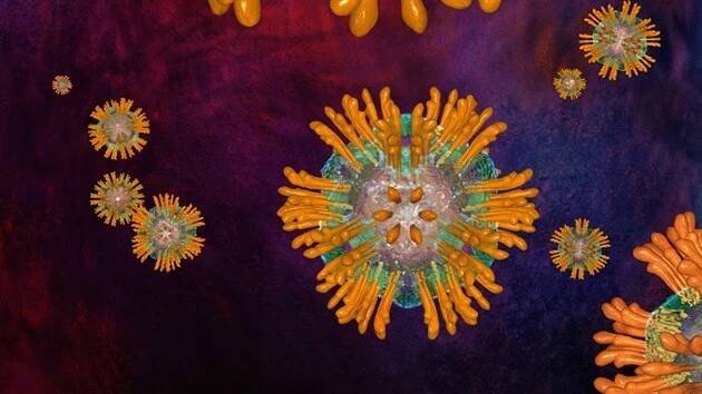 Virus hepatitidy typu C se přenáší krví. Nákaza probíhá roky skrytě a mnohdy se na ni přijde až v pokročilém stadiu nemoci.