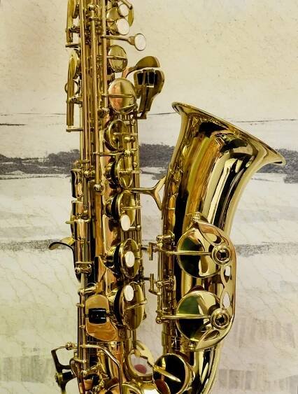 Starlight Instrument Scholarship — Sky Velvet Vassar Music Foundation