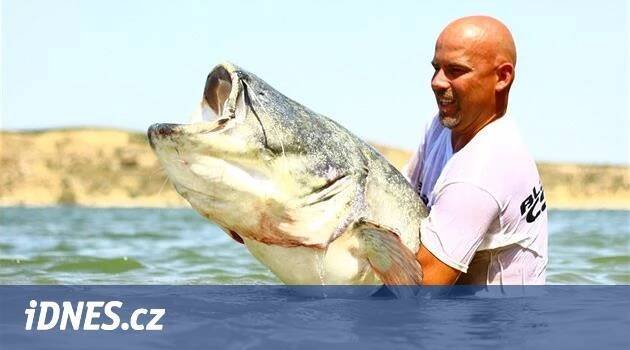 OBRAZEM: Když Češi chytají obří sumce na španělské řece Ebro - iDNES.cz