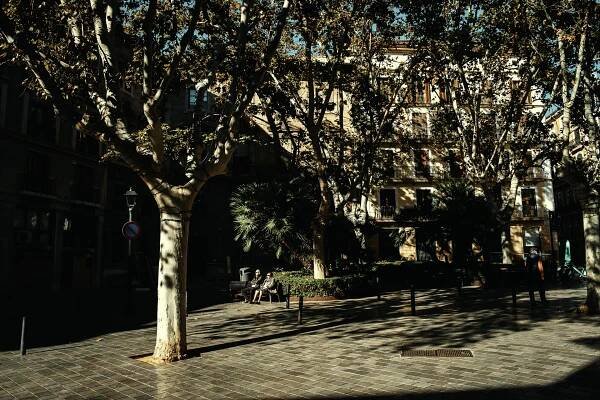 Winter in Mallorca Island 21