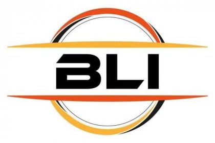 BLI letter royalty ellipse shape logo. BLI brush art logo. BLI logo for ...