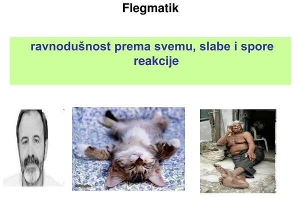 PPT - LIČNOST ili OSOBNOST PowerPoint Presentation, free download - ID:4745366