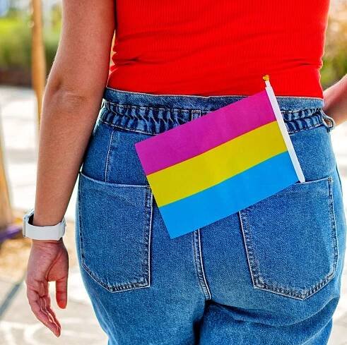 Pansexuality meaning and definition - What is pansexual?