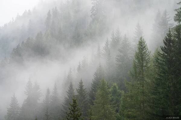 Hohe Tauern Rainy Forest