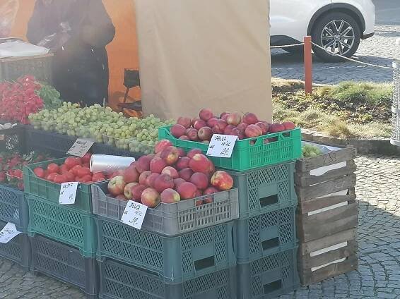 Vyškovské trhy znovu obsadily náměstí. Podívejte se na nabídku prodejců