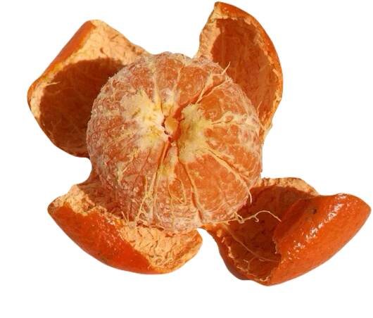 oranges on Tumblr