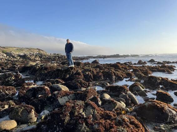Read more about the article The Great Tide Pool | Monterey