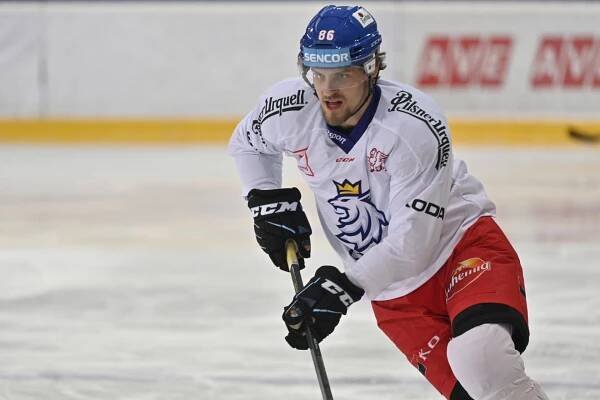 Smejkal zvažuje nabídky z NHL, odchod mu ale musí dávat smysl
