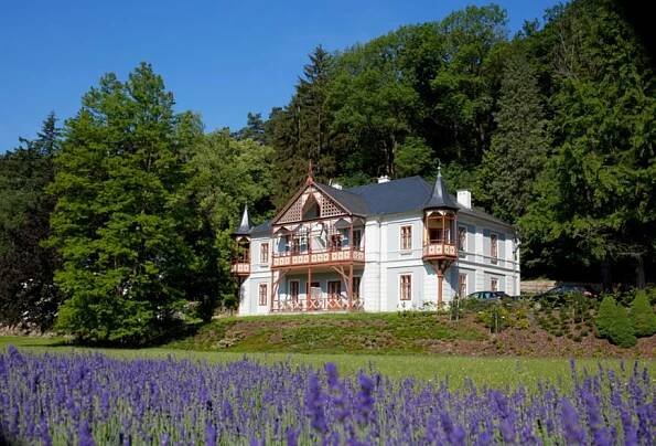 Vila Alpská růže