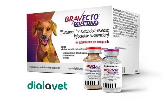 Bravecto Quantum Approved by FDA Dial A Vet