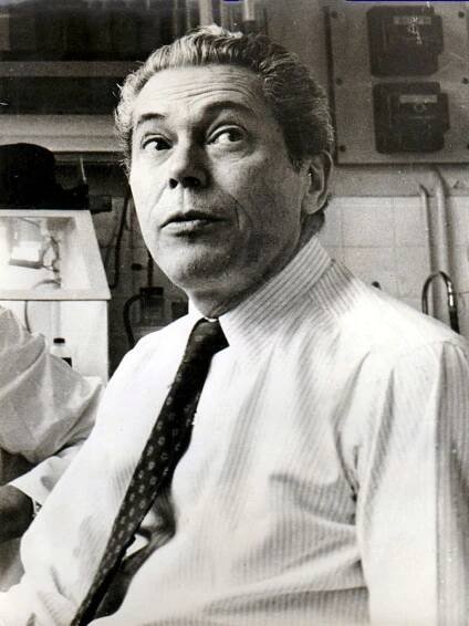 1976 – Wikipedie