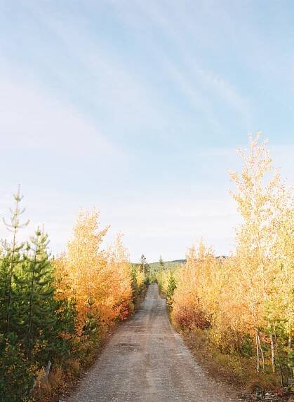 07_Fall in glacier national park on Medium format film.jpg