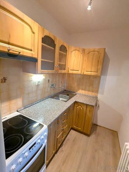 Pronájem bytu 1+1 27 m², Alšova, Bílina - Pražské Předměstí