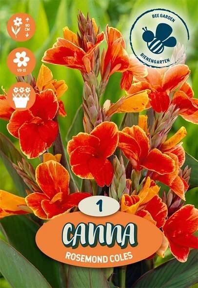 Kana Rosemond Coles oranžová - žlutá nakoupit u OBI