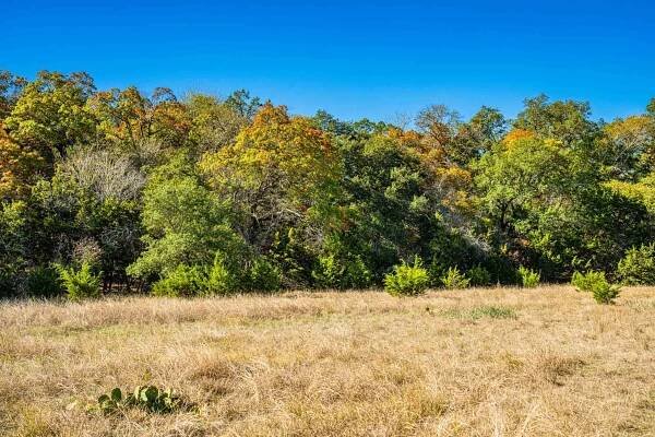 Kendall County | Black Creek Ranch | E of Boerne | Texas Ranches For Sale