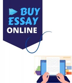 Buy Essay Online Now
