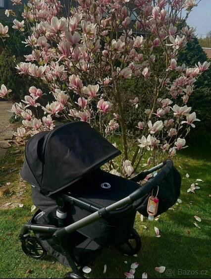 Bugaboo fox 5