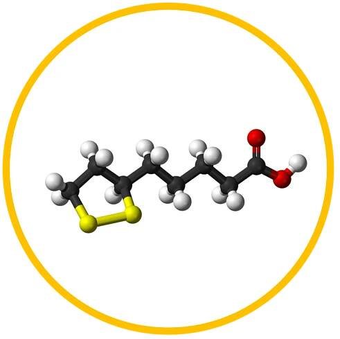 GLUCOACH: Sugar Buster I Ultimate Immune Booster