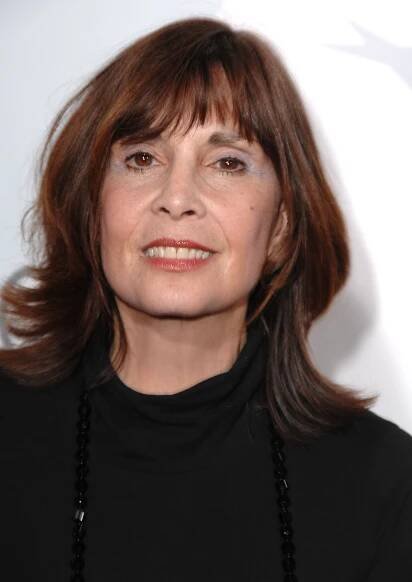 Talia Shire at AFI's 40th Anniversary celebration presented by Target on October 3, 2007, in Hollywood, California | Source: Getty Images