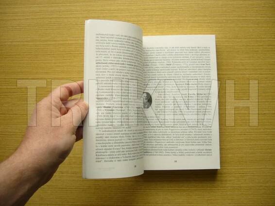Kniha Panoráma ruské literatury - Trh knih - online antikvariát