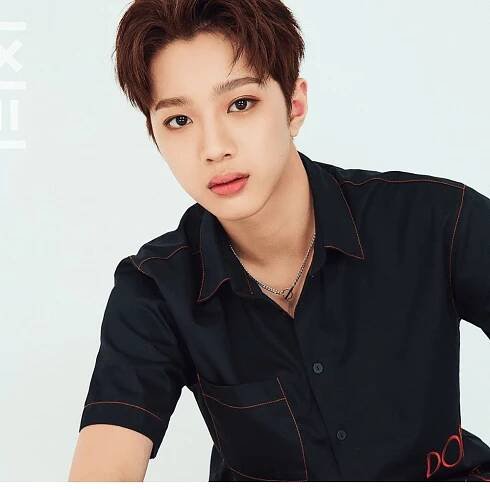 Ex-Wanna One member Lai Kuan Lin announces retirement from entertainment industry; rumored to become film director