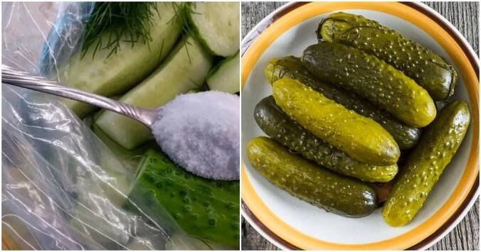 Nejrychlejší způsob nakládání okurek v igelitovém sáčku, díky němuž budou nakladačky připravené pro hosty už do hodiny. Chutnají fantasticky