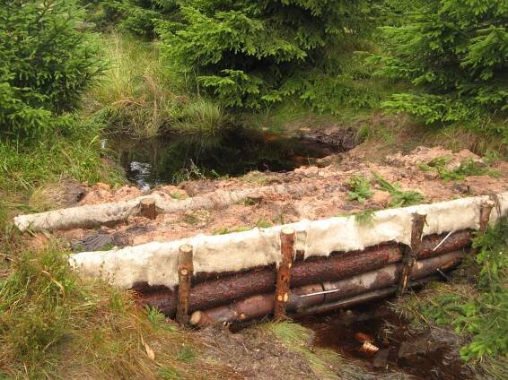 Cínovecká rašeliniště získavají původní podobu - NET4GAS Blíž přírodě