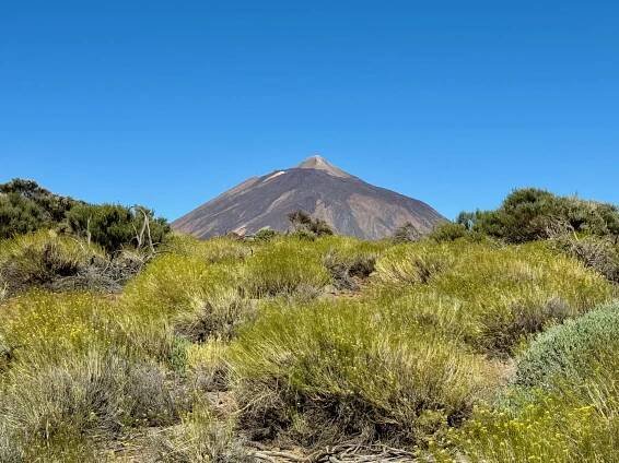Expedice v kostce – Tenerife na jaře roku 2024 | Naše toulání