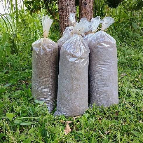 Tierra negra para jardin - Imagen 4