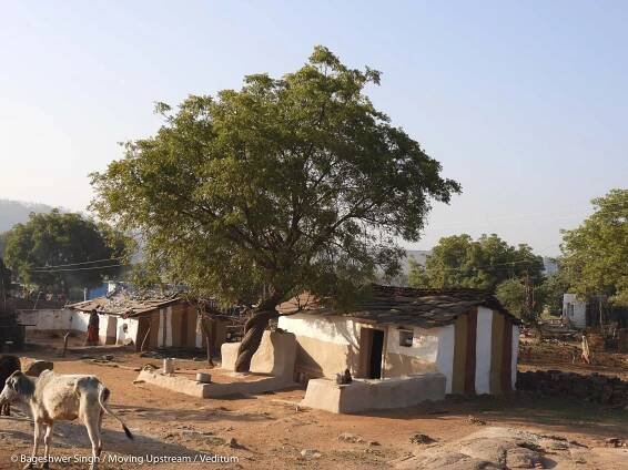 A typical tribal household with Neem being a part of courtyard.